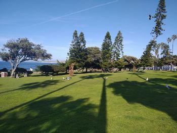 Scenic view of golf course against sky