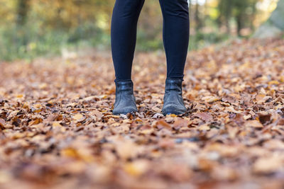 Low section of person standing on ground during autumn