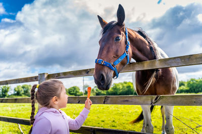 Cute girl feeding horses against sky