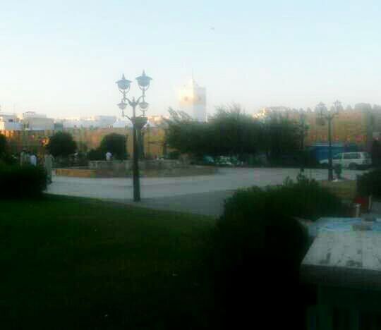 EMPTY ROAD ALONG TREES AND BUILDINGS