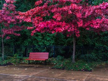 Empty bench in park