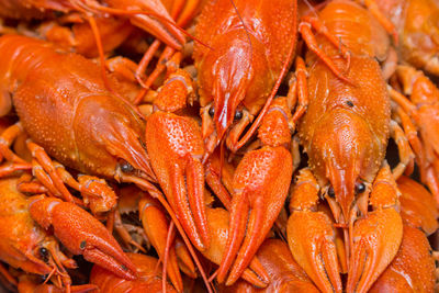 Full frame shot of orange market