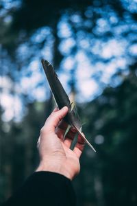 Cropped hand of person holding feather