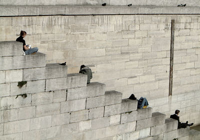 Low angle view of pigeon perching on wall