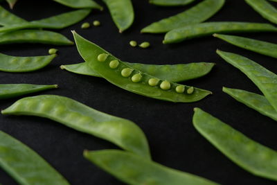 Close-up of green leaves on table