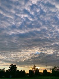 Silhouette trees on field against sky at sunset