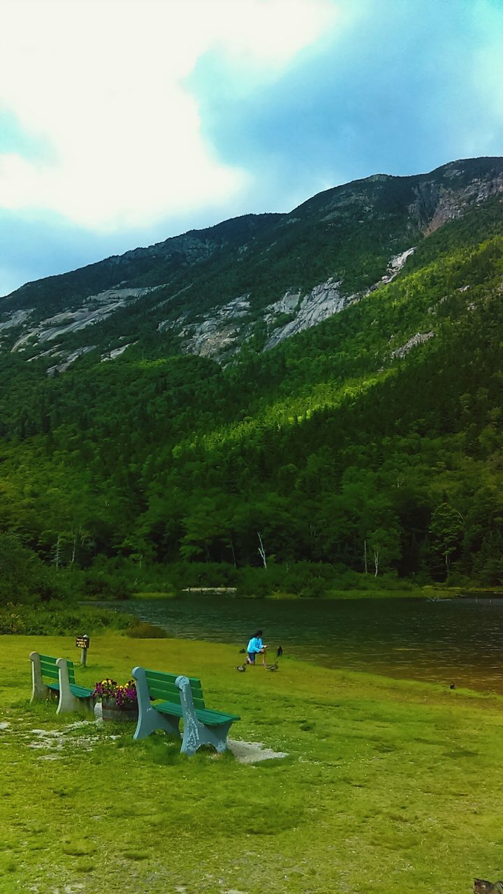 SCENIC VIEW OF GOLF COURSE