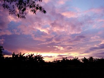 Silhouette trees against sky during sunset