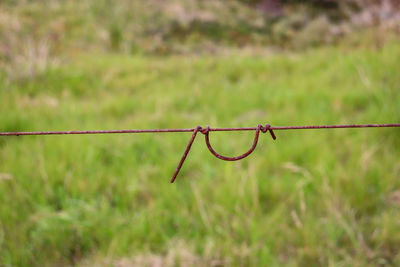 Close up of old rural barbed wire fence