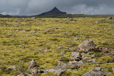 Scenic view of landscape against sky