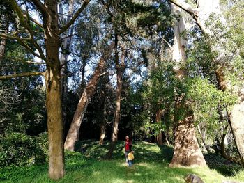 Boy standing by tree against sky