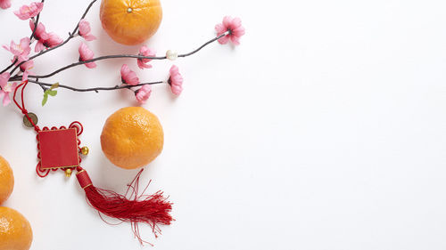 High angle view of berries against white background