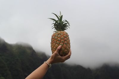 Hand holding tree against sky