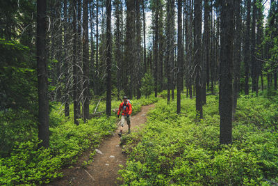 Man riding bicycle on road amidst trees in forest