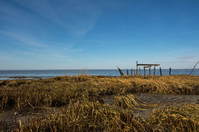 Scenic view of sea against blue sky