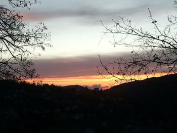 Silhouette of bare tree against cloudy sky