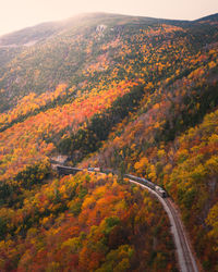 High angle view of road amidst trees during autumn