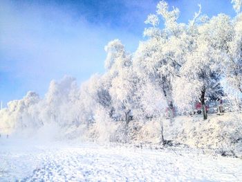 Low angle view of frozen landscape against sky