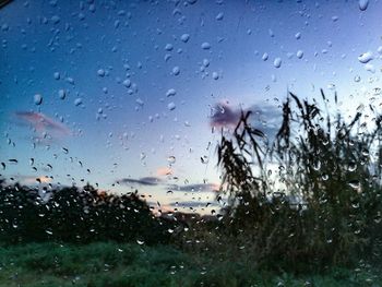 Close-up of wet glass window in rainy season