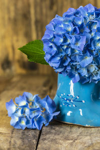 Close-up of blue rose flower