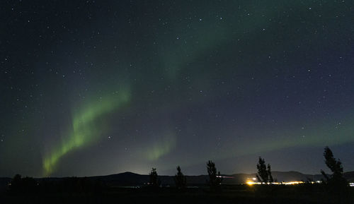 Low angle view of silhouette stars against sky at night