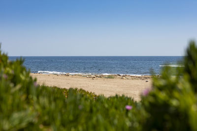 Scenic view of sea against clear sky