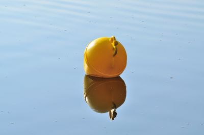 High angle view of yellow leaf floating on water