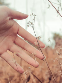 Close-up of hand on flower tree