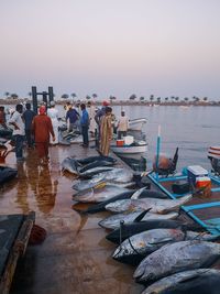 Men with fish on pier over sea against clear sky during sunset