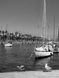 Boats moored at harbor against clear sky