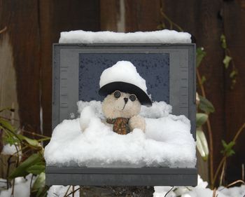 Close-up of toy on snow