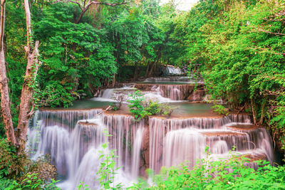 Waterfall in forest