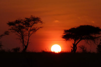 Africa, serengeti, silhouette trees on field against romantic sky at sunset
