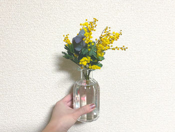 Hand holding flower vase against white wall