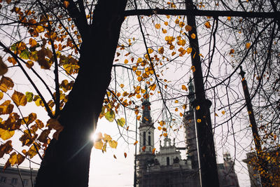 Low angle view of trees and buildings against sky