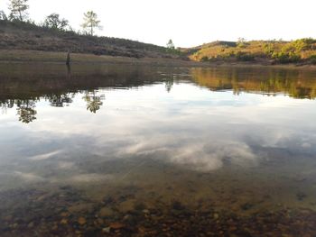 Scenic view of lake in forest against sky