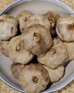 High angle view of mushrooms