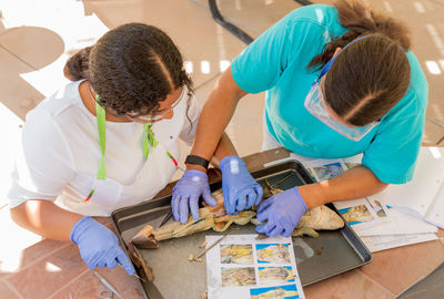 High angle view of people working