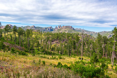 View of landscape against sky