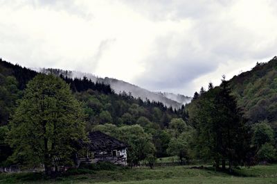 Scenic view of landscape against cloudy sky