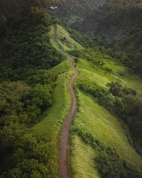 High angle view of footpath on green landscape