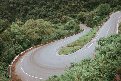 High angle view of road amidst trees in forest