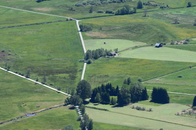 Scenic view of agricultural field