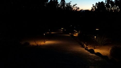 Road along trees at night