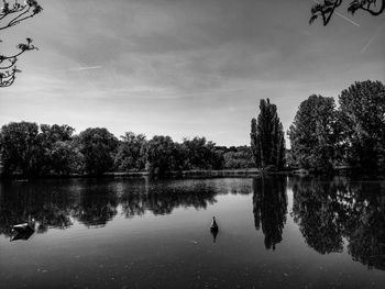 Swan swimming in lake against sky