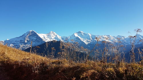 Scenic view of mountains against clear blue sky