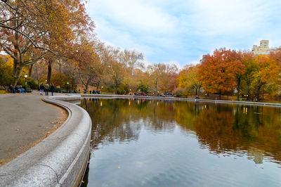 Reflection of trees in city against sky