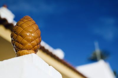 Low angle view of bread against blue sky