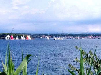 Sailboats in sea against sky