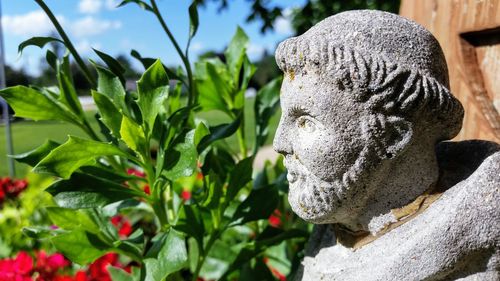 Close-up of statue against plants